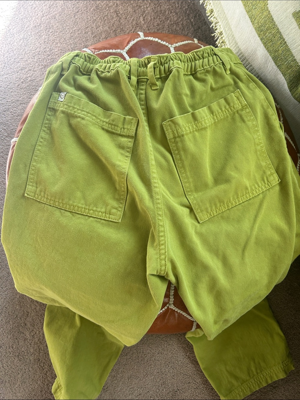 Big Bud Press 🌈 | Gross Green Work Pants - Picture 4 of 8